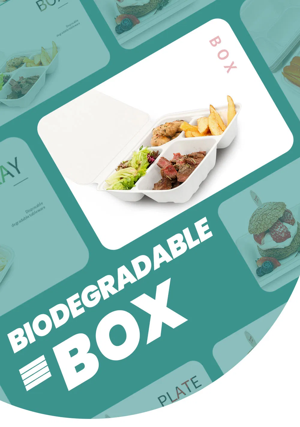 3 4 5 6 Compartment Salad Meat Box Wholesale Biodegradable Compostable Disposable Sugarcane Bagasse Paper Pulp Molded Catering Lunch Bento Food Box with Lids