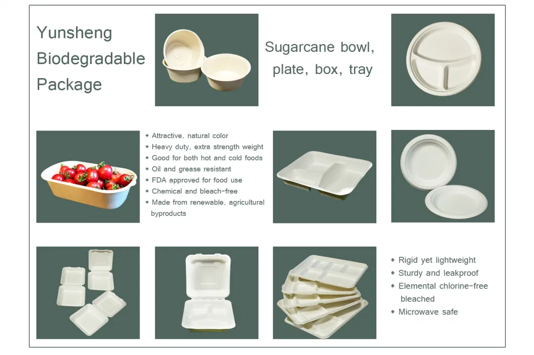 Sturdy, Gluten Free Wheatstraw Fiber Is Certified Compostable, Eco-Friendly, Microwavable and Safe for Hot and Cold Foods Biodegradable Disposable Plates