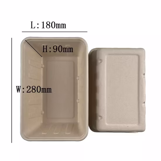 Compostable Sugarcane Bagasse Biodegradable Takeaway Container Food Disposable Rectangular Salad Bowl Pulp Large
