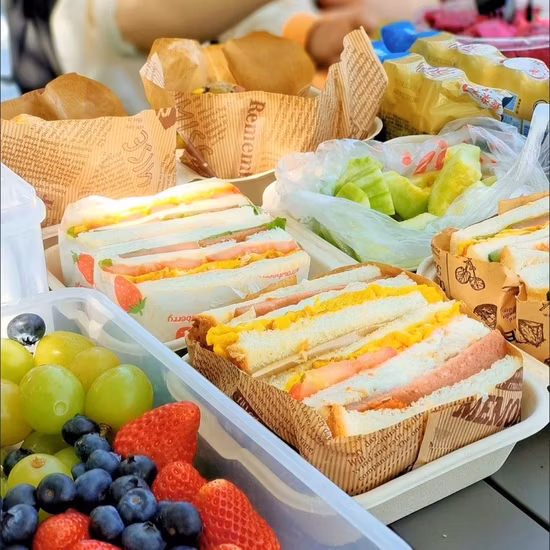 FDA/EU Feee Sample Round/Rectangle/Square Food Box Biodegradable Salad Paper Bowl