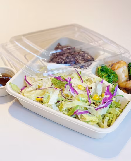 Eco Friendly Pfas Free Biodegradable Sugarcane Packaging Box Bagasse 750ml Lunch Box