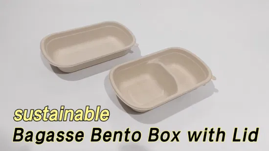 Eco Friendly Pfas Free Biodegradable Sugarcane Packaging Box Bagasse 750ml Lunch Box