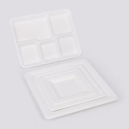 Square Round Oval Dinner Cake Sushi Food Sugarcane Bagasse Biodegradable Compostable Disposable Paper Plates